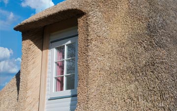 Peiness thatch roof disadvantages